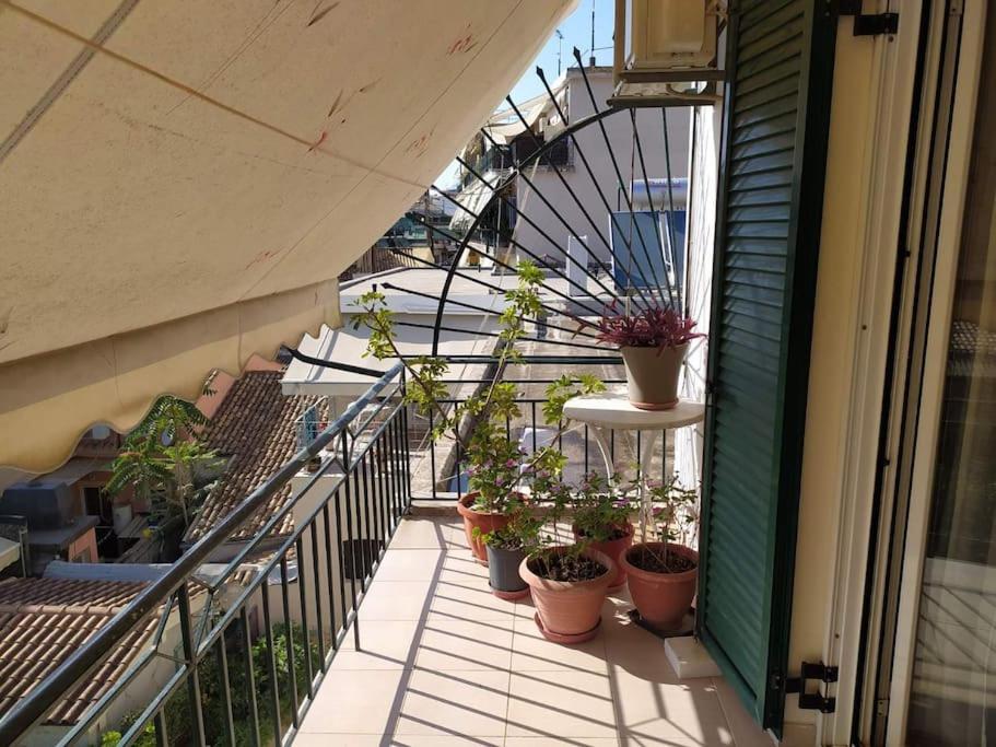 Saki's1bd In Corfu Town Apartment Corfu (city)